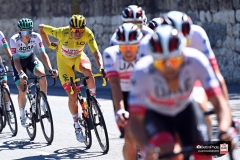 Tour de France 2020